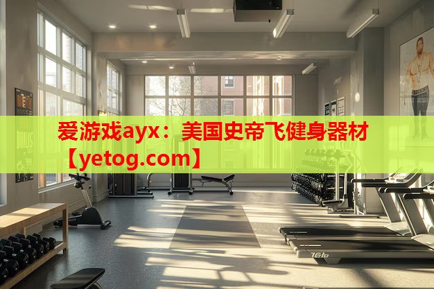 爱游戏ayx：美国史帝飞健身器材