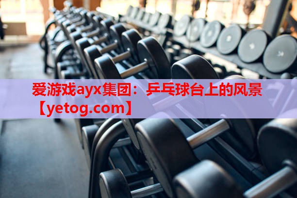 爱游戏ayx集团：乒乓球台上的风景