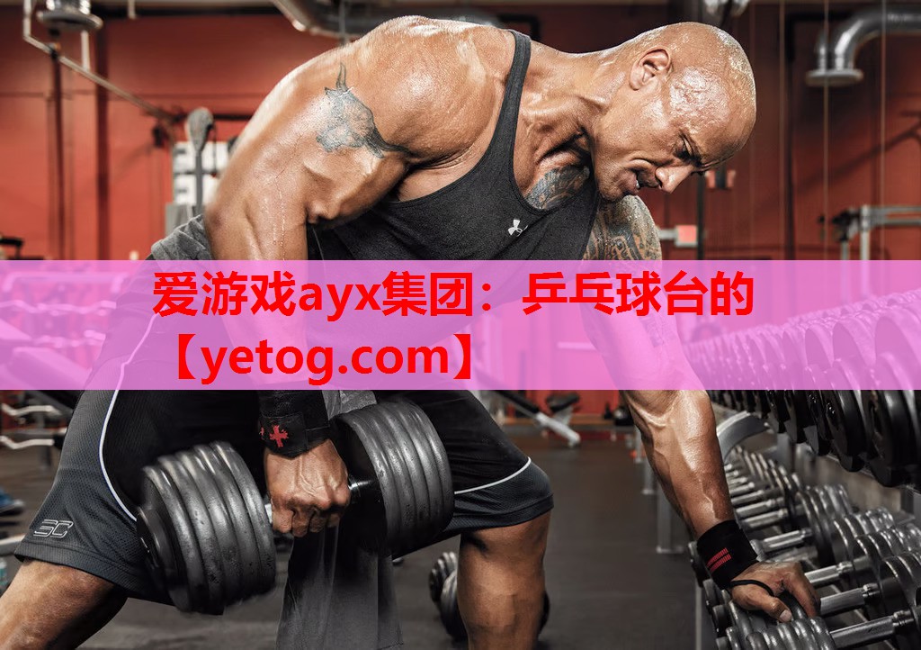 爱游戏ayx集团：乒乓球台的