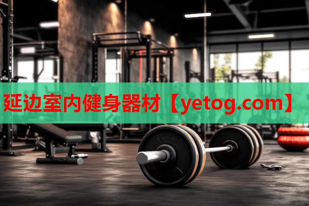 延边室内健身器材