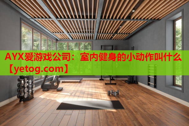 AYX爱游戏公司：室内健身的小动作叫什么