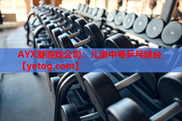AYX爱游戏公司：儿童中号乒乓球台