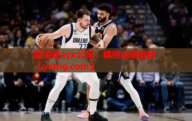 爱游戏ayx公司：楼梯运动器材
