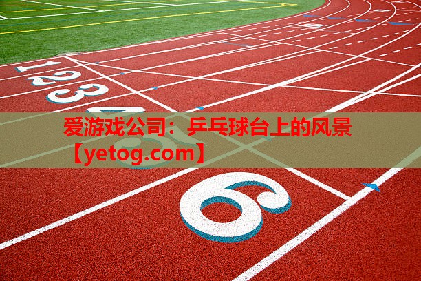 爱游戏公司：乒乓球台上的风景