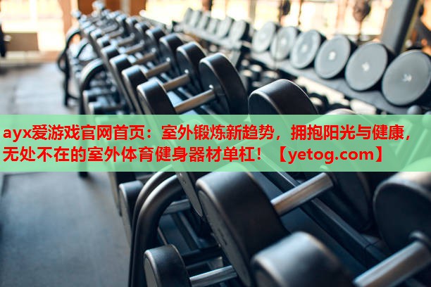 ayx爱游戏官网首页：室外锻炼新趋势，拥抱阳光与健康，无处不在的室外体育健身器材单杠！
