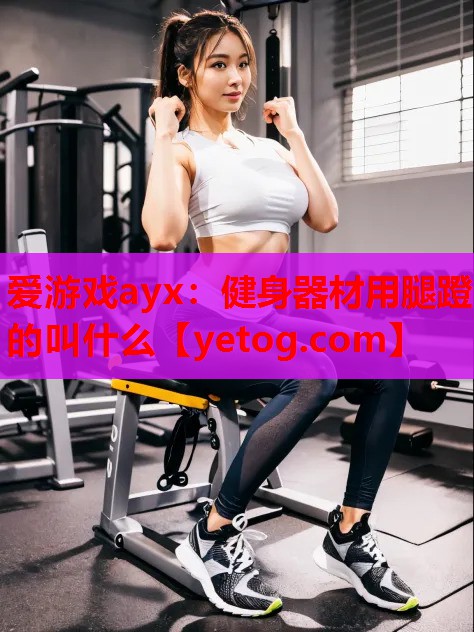 爱游戏ayx：健身器材用腿蹬的叫什么