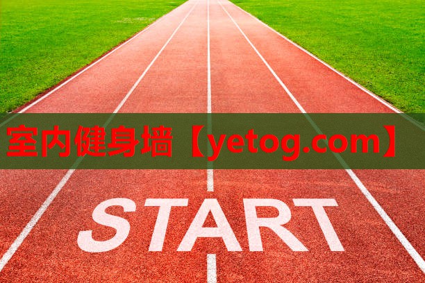 室内健身墙