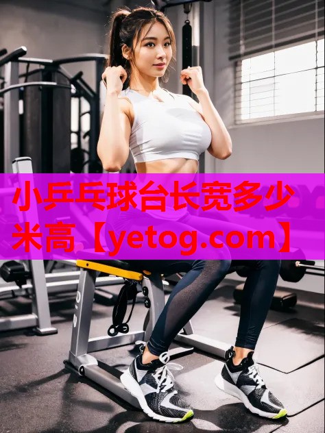 小乒乓球台长宽多少米高
