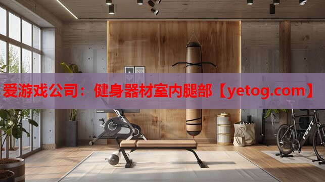 爱游戏公司：健身器材室内腿部