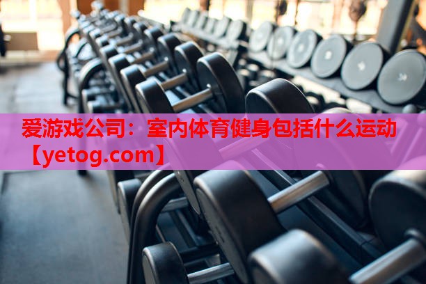 爱游戏公司：室内体育健身包括什么运动