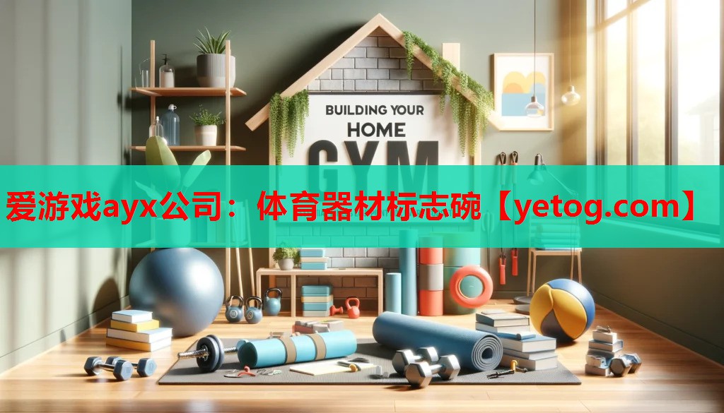 爱游戏ayx公司：体育器材标志碗