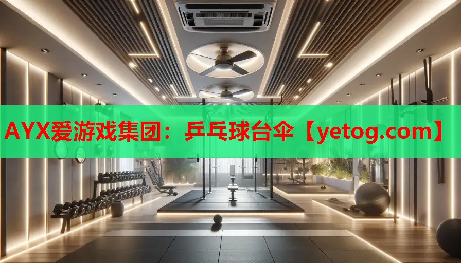 AYX爱游戏集团：乒乓球台伞