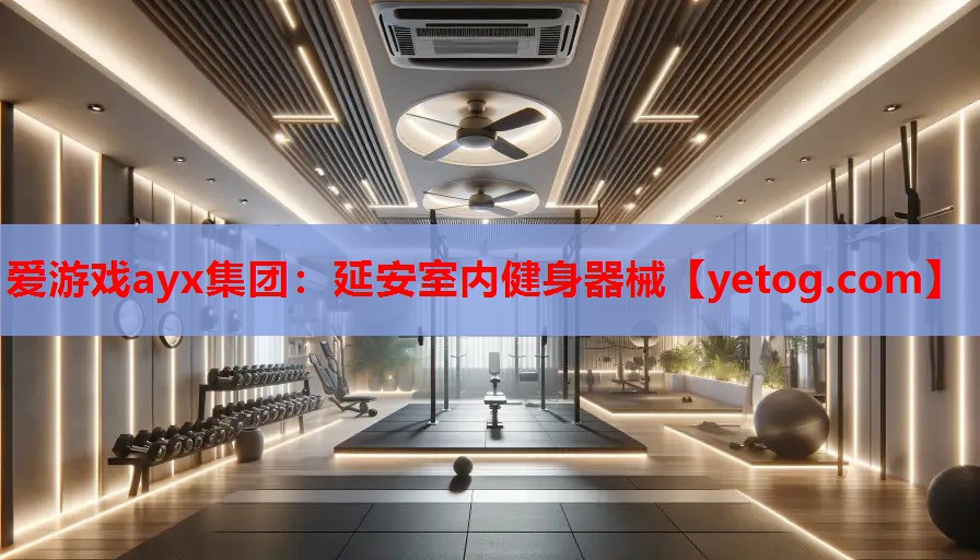 爱游戏ayx集团：延安室内健身器械