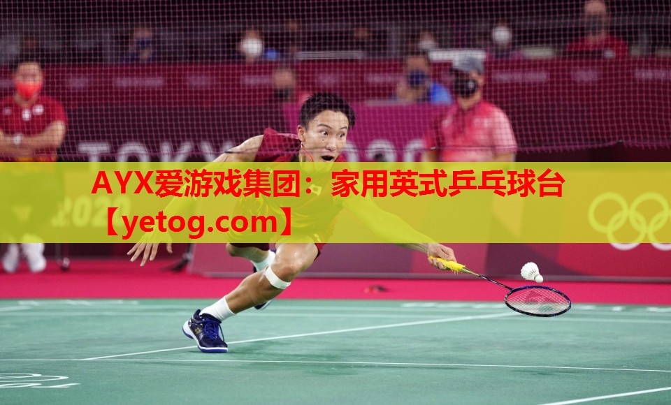 AYX爱游戏集团：家用英式乒乓球台