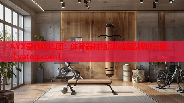 AYX爱游戏集团：体育器材检测仪器品牌排行榜