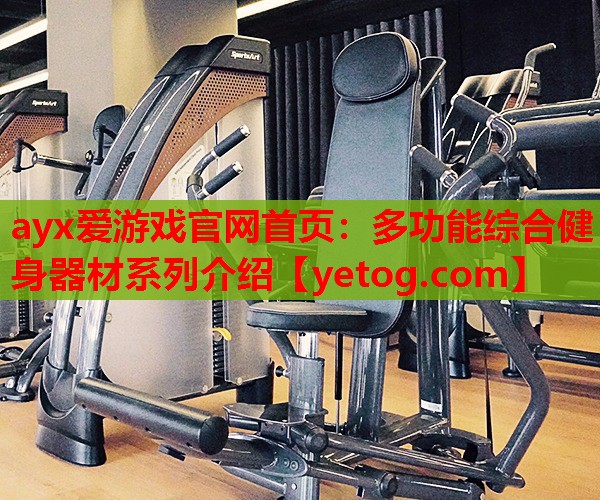 ayx爱游戏官网首页：多功能综合健身器材系列介绍