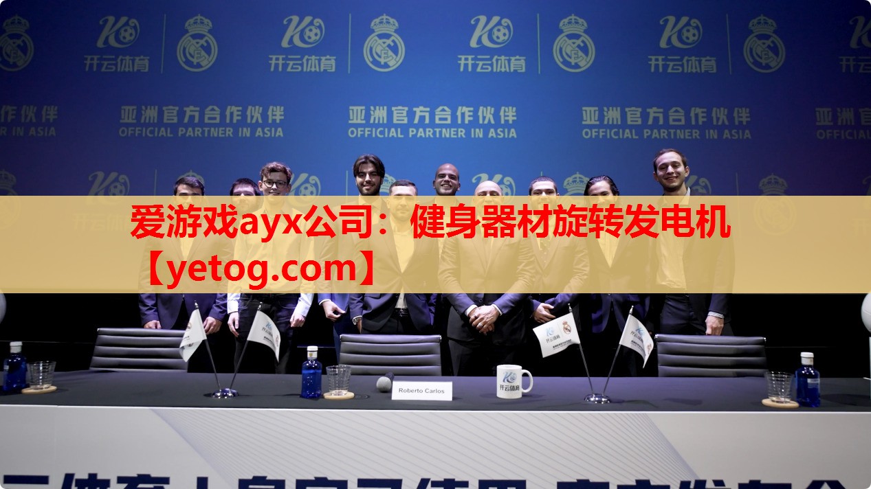 爱游戏ayx公司：健身器材旋转发电机
