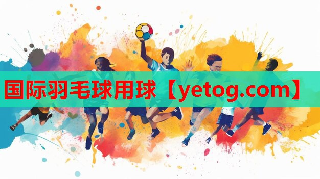 国际羽毛球用球