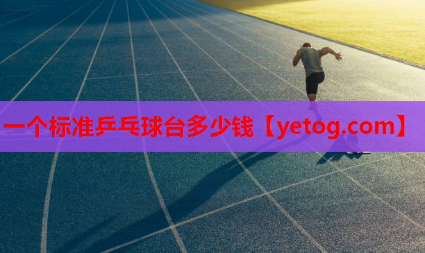 一个标准乒乓球台多少钱