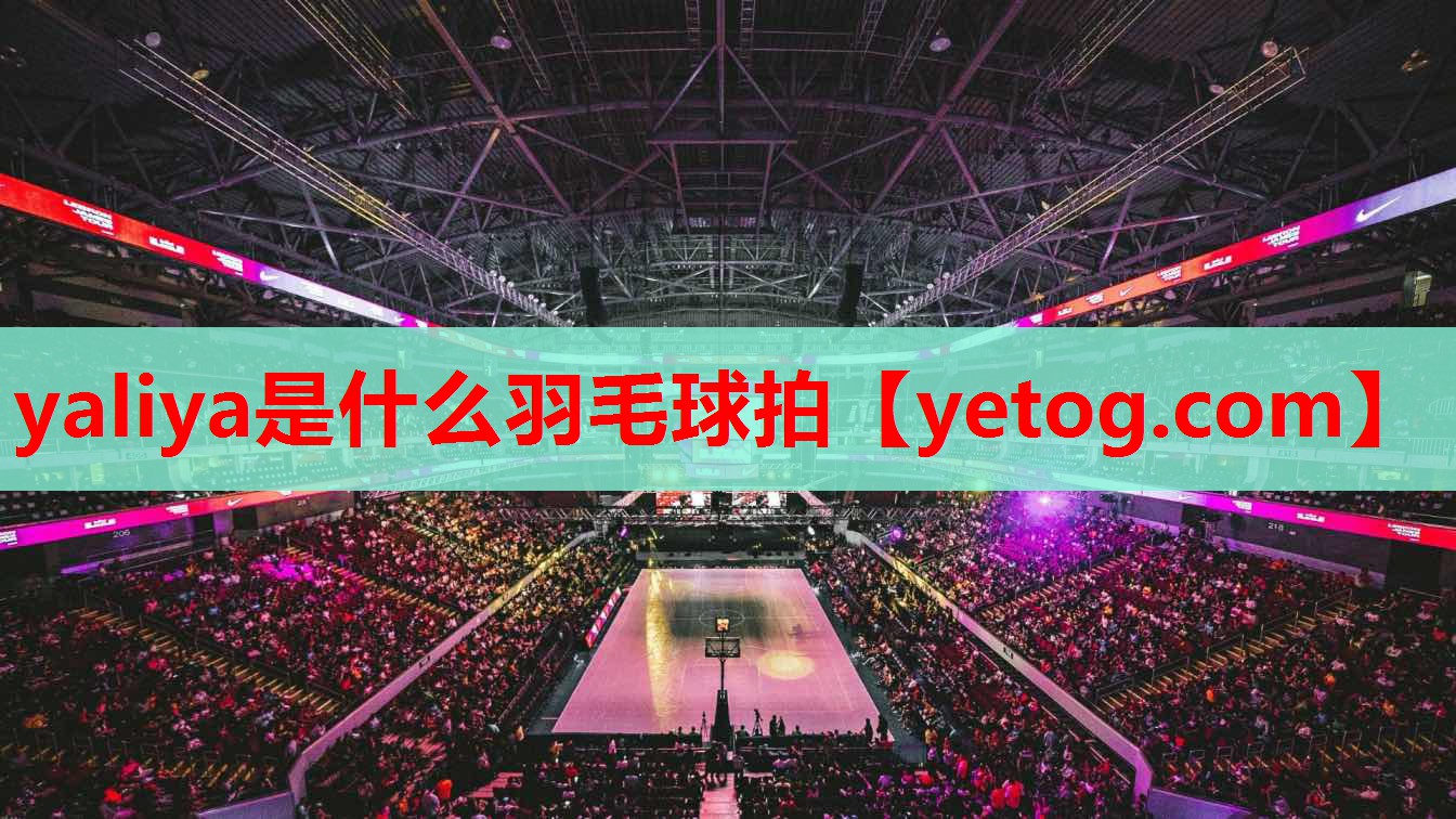 yaliya是什么羽毛球拍
