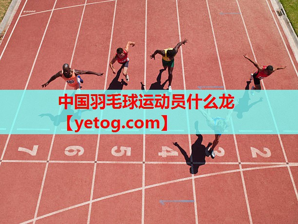 中国羽毛球运动员什么龙