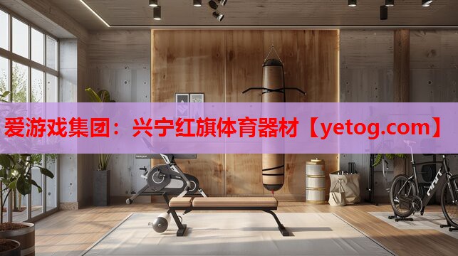 爱游戏集团：兴宁红旗体育器材