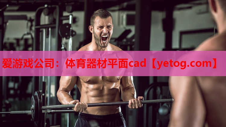 爱游戏公司：体育器材平面cad