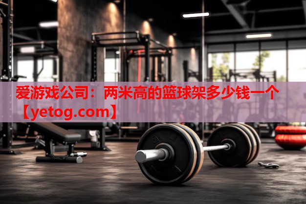 爱游戏公司：两米高的篮球架多少钱一个