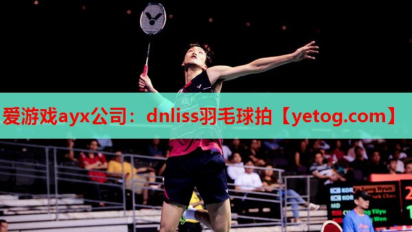爱游戏ayx公司：dnliss羽毛球拍