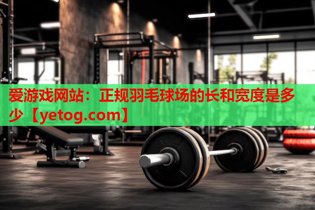爱游戏网站：正规羽毛球场的长和宽度是多少