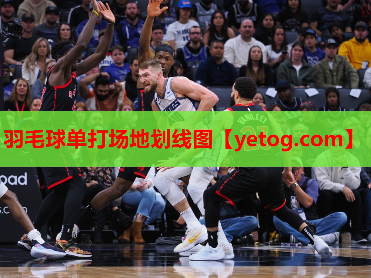 羽毛球单打场地划线图