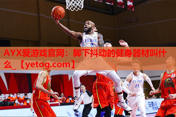 AYX爱游戏官网：脚下抖动的健身器材叫什么_