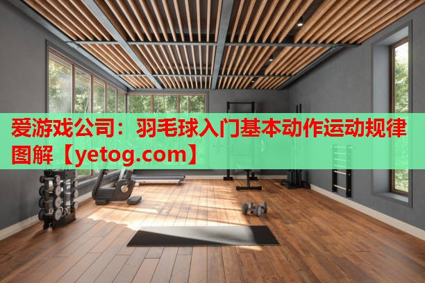 爱游戏公司：羽毛球入门基本动作运动规律图解