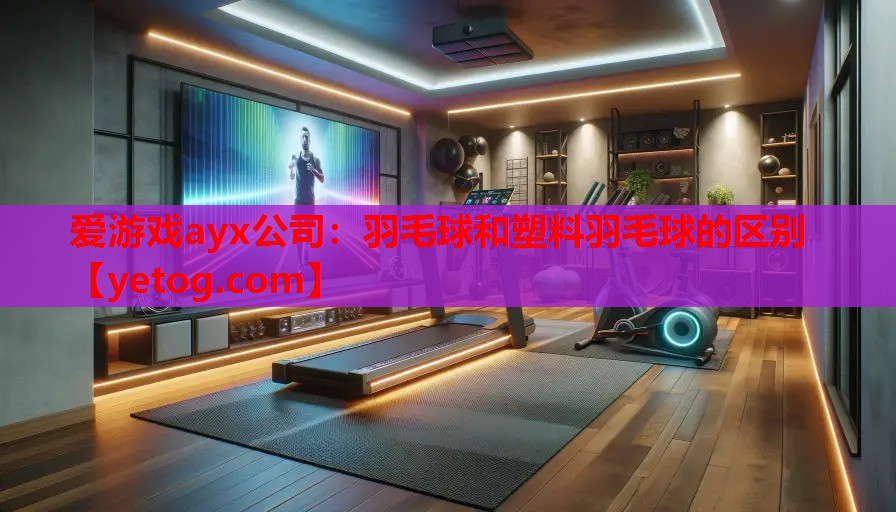 爱游戏ayx公司：羽毛球和塑料羽毛球的区别