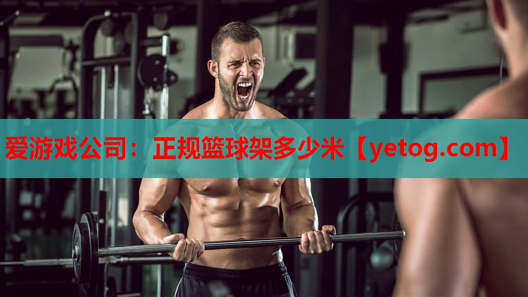 爱游戏公司：正规篮球架多少米