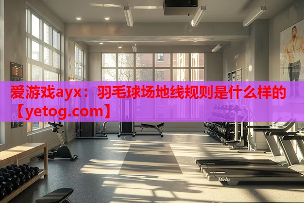 爱游戏ayx：羽毛球场地线规则是什么样的