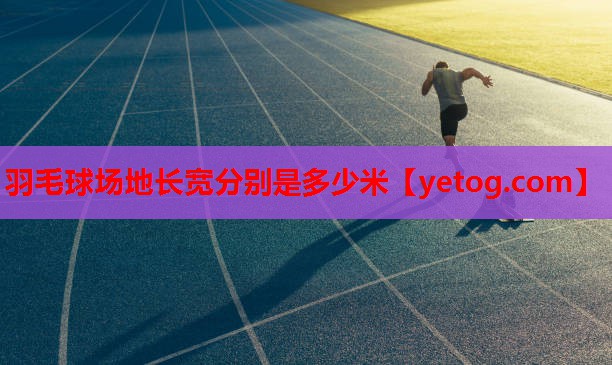 羽毛球场地长宽分别是多少米