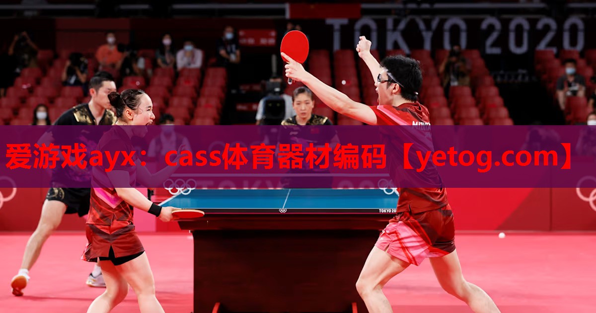 爱游戏ayx：cass体育器材编码