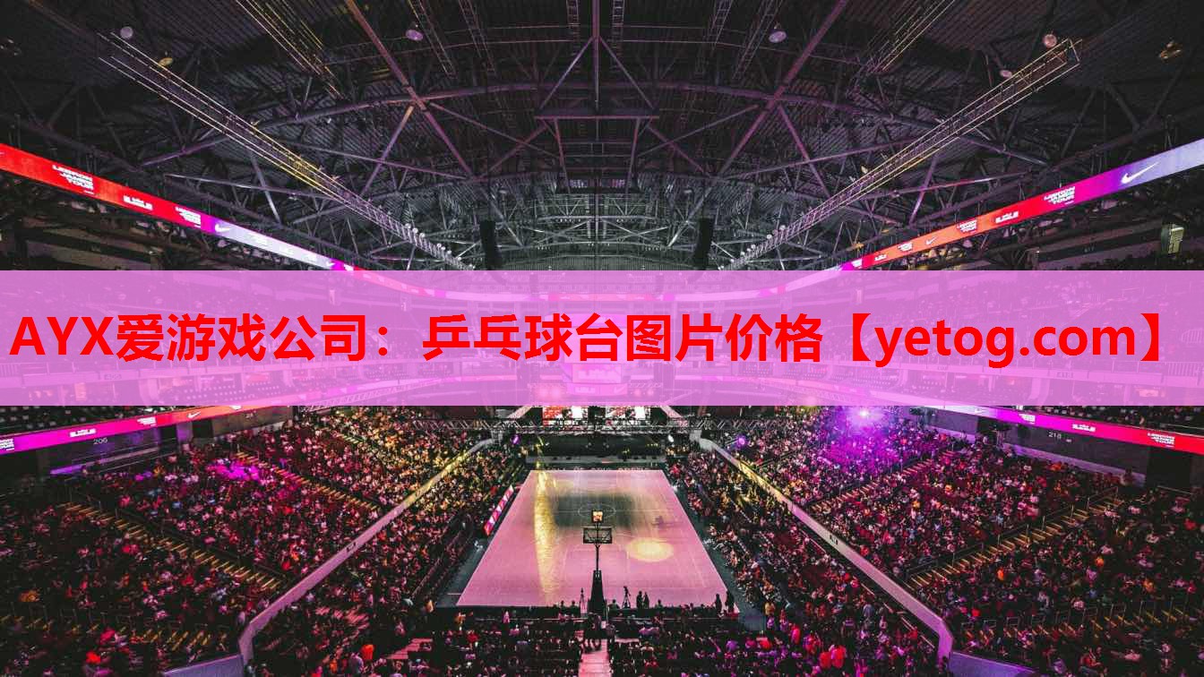 AYX爱游戏公司：乒乓球台图片价格
