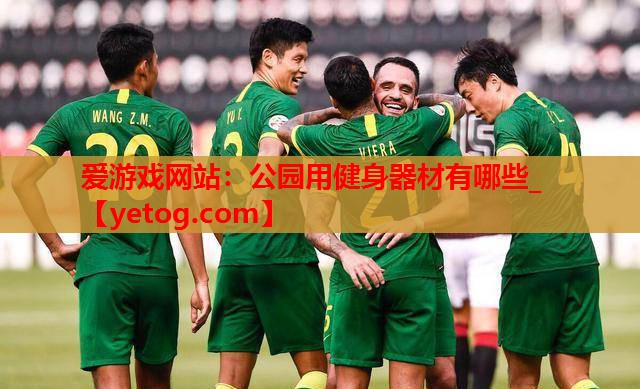 爱游戏网站：公园用健身器材有哪些_