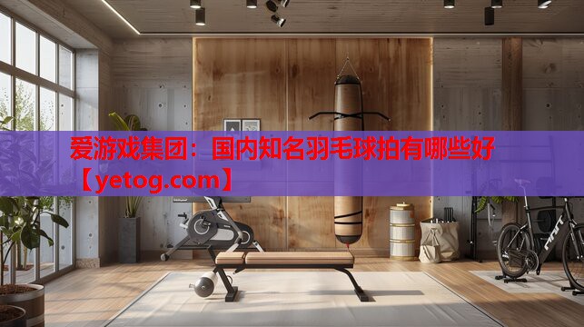 爱游戏集团：国内知名羽毛球拍有哪些好