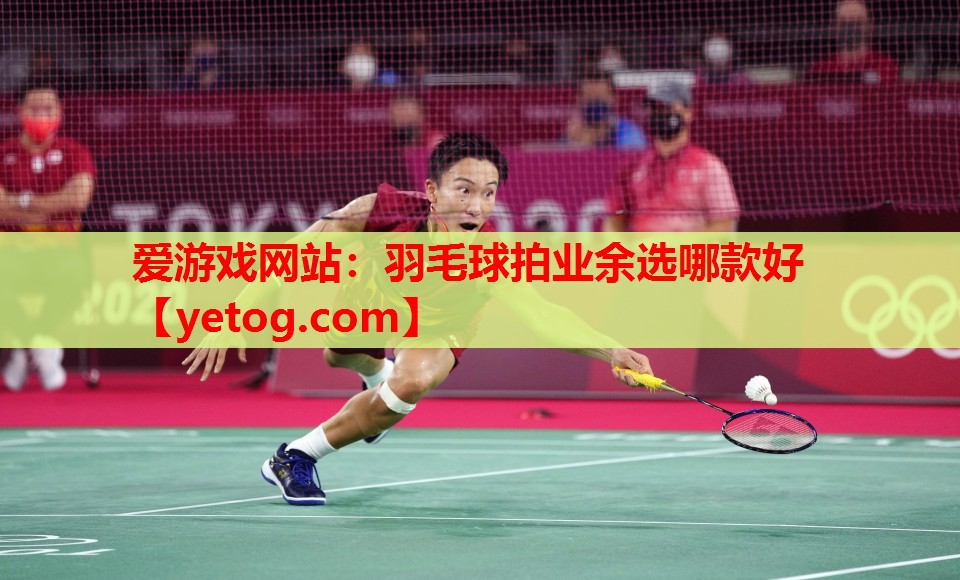 爱游戏网站：羽毛球拍业余选哪款好