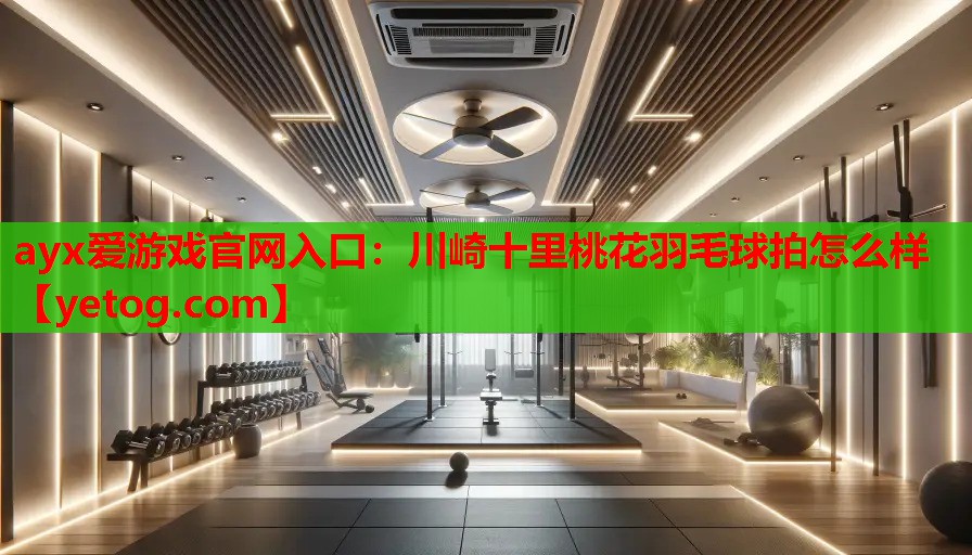 ayx爱游戏官网入口：川崎十里桃花羽毛球拍怎么样