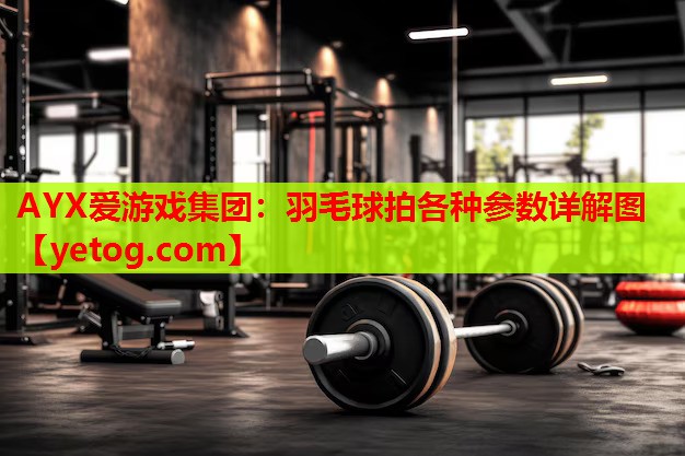 AYX爱游戏集团：羽毛球拍各种参数详解图