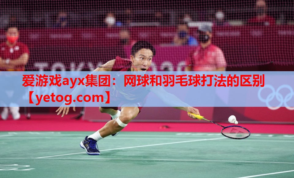 爱游戏ayx集团：网球和羽毛球打法的区别