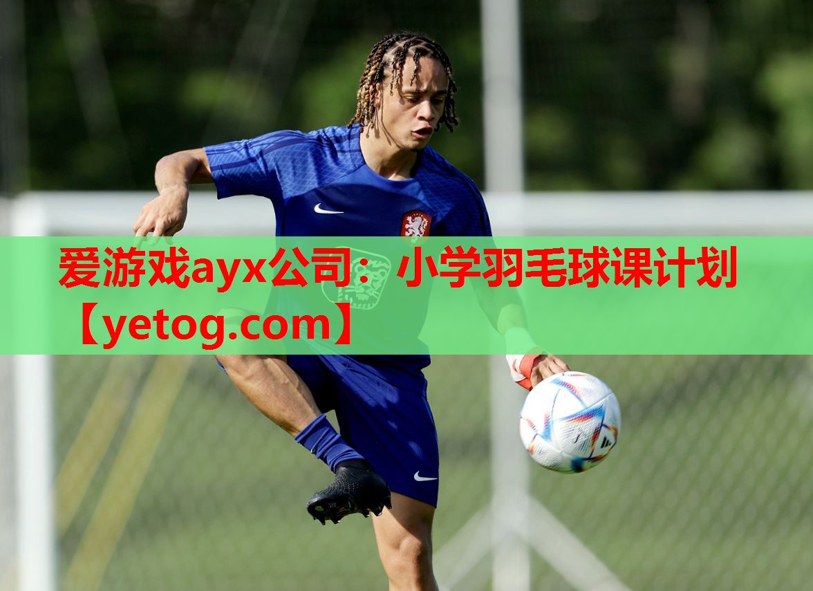 爱游戏ayx公司：小学羽毛球课计划