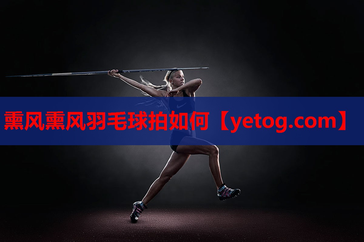 熏风熏风羽毛球拍如何