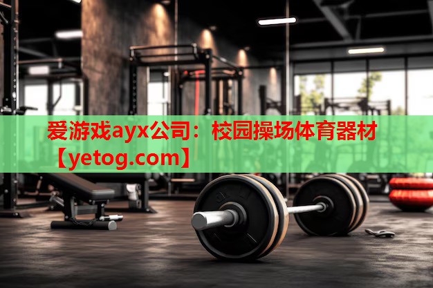 爱游戏ayx公司：校园操场体育器材