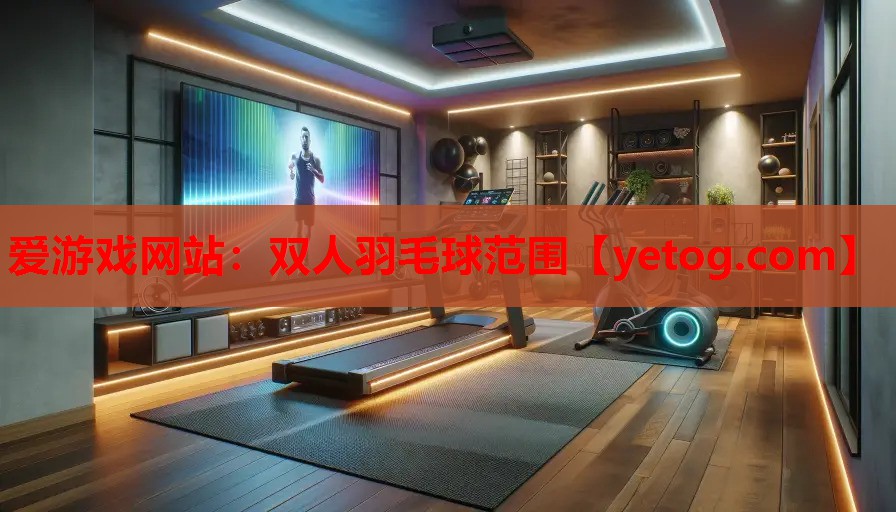 爱游戏网站：双人羽毛球范围