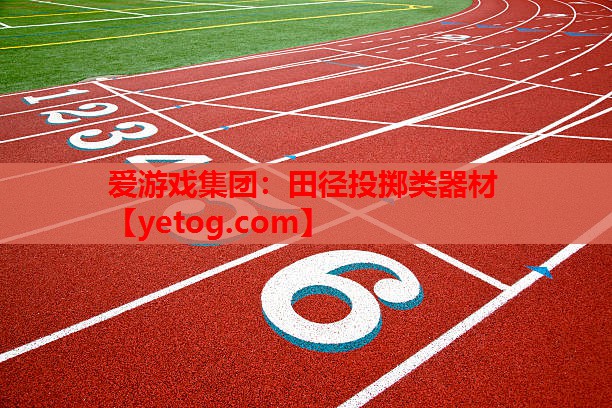 田径投掷类器材 田径投掷类器材